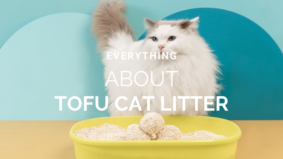 carlpets_everything_about_tofu_litter_900x.jpg