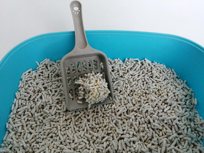 cat-litter-supplier-1536x1152.jpg